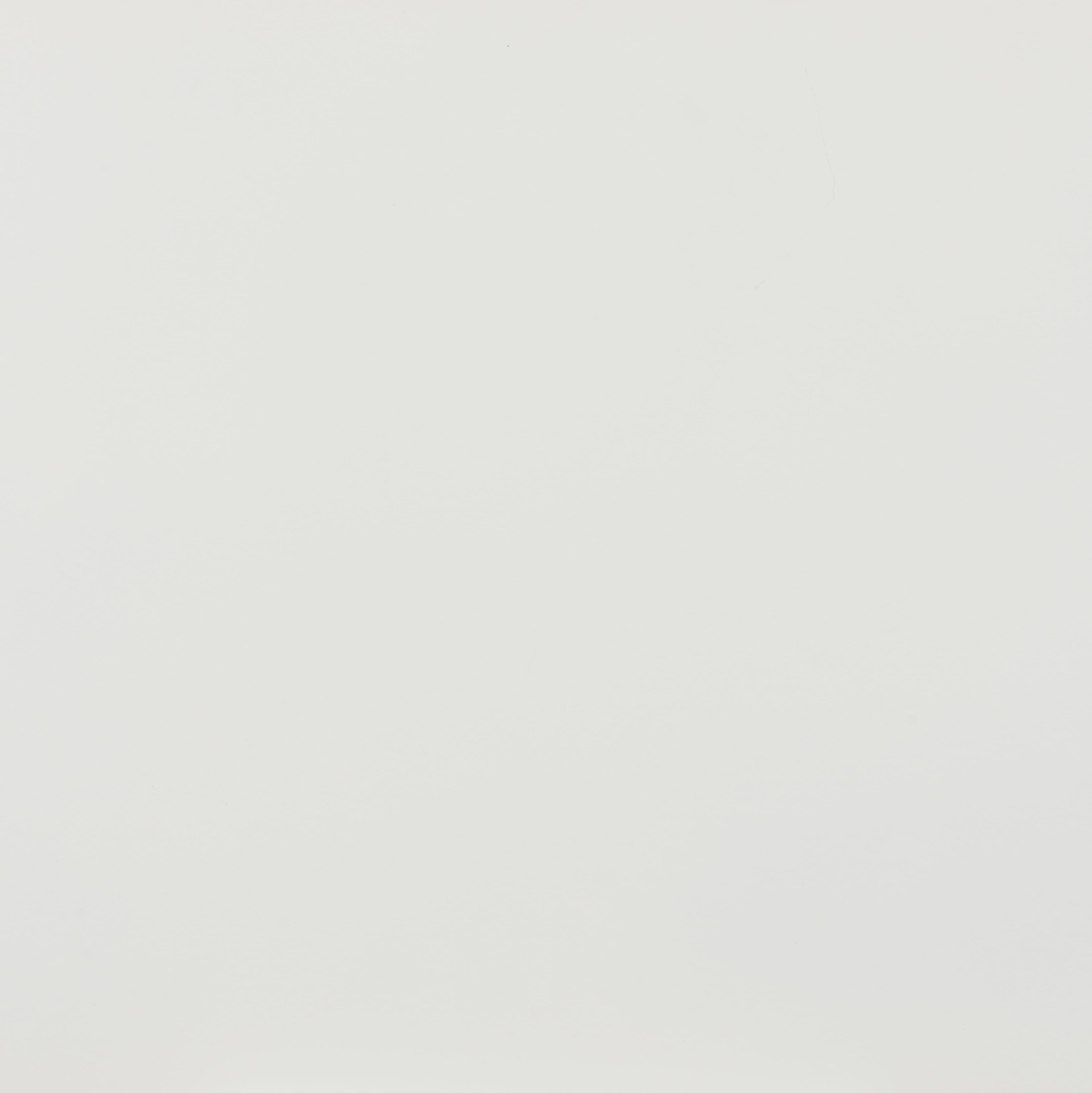 Shio Dining Chair White product image