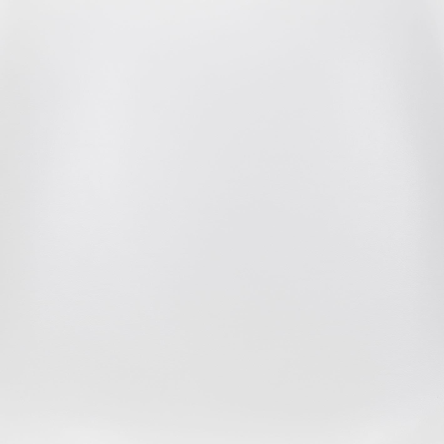 Ace Dining Chair (Set of 2) White & Silver product image