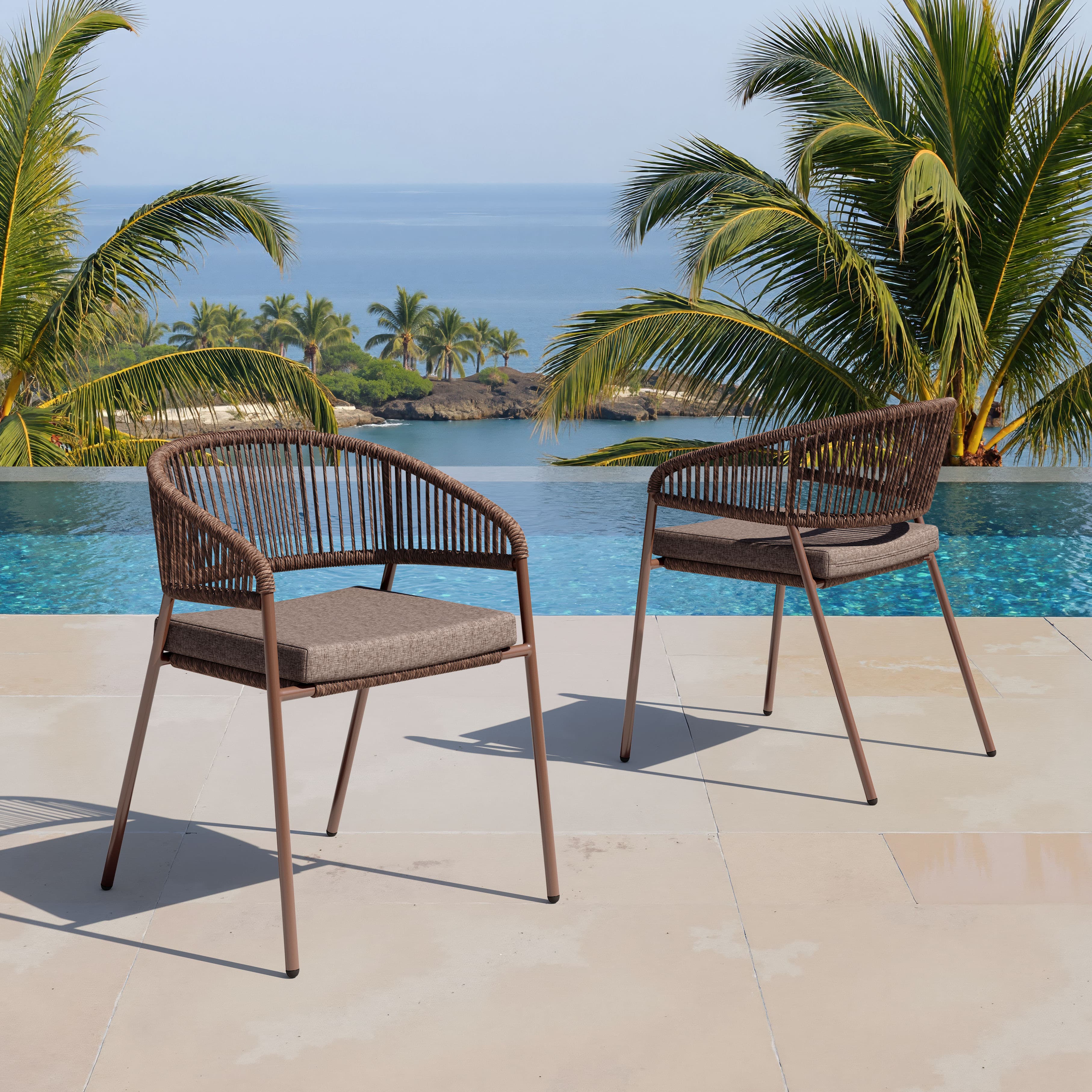Skye Dining Chair (Set of 2) Brown product image